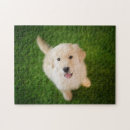 Search for golden retriever puppy puzzles Smile