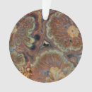 Search for multicolor christmas tree decorations Nobody