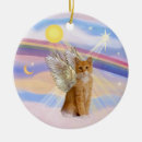 Search for tabby cat rainbow bridge Cats