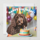 Search for dog 1st birthday cards Cute