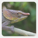 Search for reptile scales stickers Wildlife