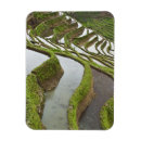 Search for flood magnets Agriculture
