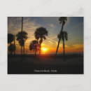 Search for clearwater postcards Sunset