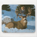 Search for mule deer electronics Wildlife