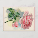 Search for vintage wall postcards Roses