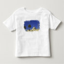 Search for citadel tshirts Egypt