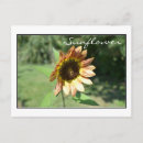 Search for september postcards Summer