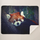 Search for red panda blankets Bear