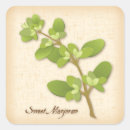 Search for vegetarian food stickers Cooking