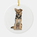 Search for belgian malinois christmas tree decorations Puppy