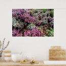 Search for heather posters Landscape