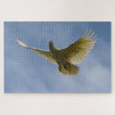 Search for parrots puzzles Yellow