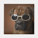 Search for small dog magnets Nature