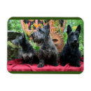 Search for gonna magnets Cute