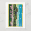 Search for orchards postcards Bloom