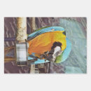 Search for macaw wrap wrapping paper Parrots