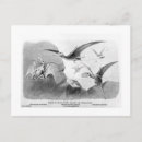 Search for pterodactyl postcards Jurassic