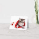 Search for ecard Greetings
