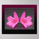 Search for azalea art Fine