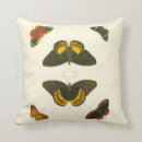 Search for butterfly cushions White