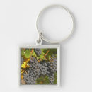 Search for bunch of grapes key rings French