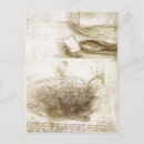 Search for studi postcards Drawing