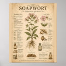 Search for infographic posters Educational