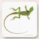 Search for bizarre barware Reptiles