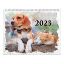 Search for puppy calendars Cat