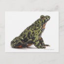 Search for side view postcards Full length