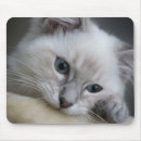 Search for dolls mousepads Cute