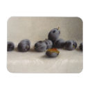 Search for realism magnets Realistic