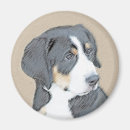 Search for bernese magnets Berner