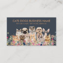 Search for breeds Pet sitter