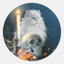 Search for white persian cat stickers Kitty