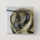 Search for compounds badges Compound eyes