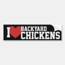 Search for chicken farm bumper stickers Poultry