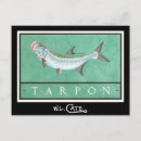 Search for tarpon postcards Fish