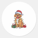 Search for dogue de bordeaux stickers Dogs