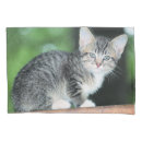 Search for kitten pillowcases Pet