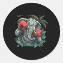 Search for full contact stickers Thailand