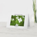 Search for white dogwood cards Trees