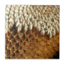 Search for sunflower tiles Geometric