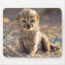 Search for captivating mousepads Captivity
