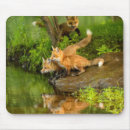 Search for schwarz mousepads Superstock