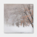 Search for danita delimont magnets Darrell gulin