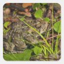 Search for angle stickers Wildlife