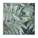 Search for fern leaf tiles Woodland
