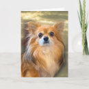 Search for pups pet supplies Sympathy