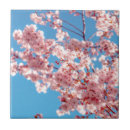 Search for japanese cherry blossom tiles Pattern